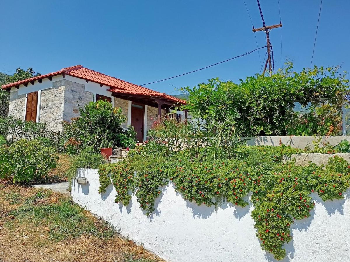 Seaside Villa Eleni Chorefton Exterior photo